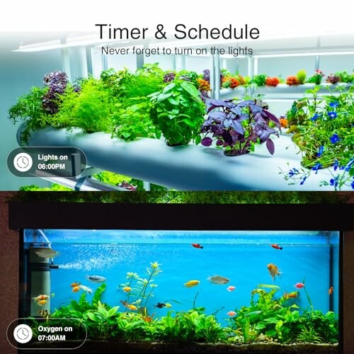 Aquarium and indoor garden with timer and schedule for lights and oxygen.