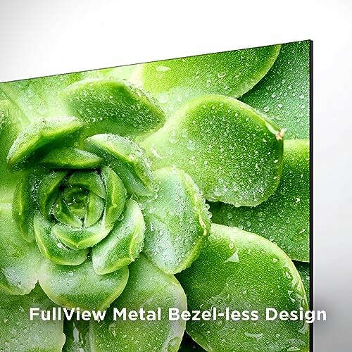 Close-up of a green succulent on a bezel-less screen with text 'FullView Metal Bezel-less Design'