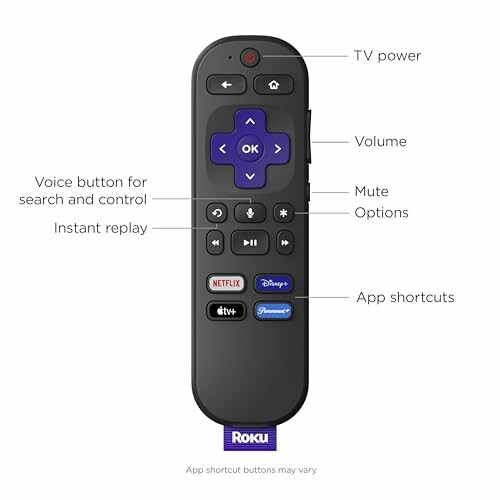 Roku remote control with labeled buttons.