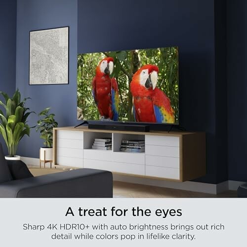 Smart TV displaying vibrant parrots in a modern living room.