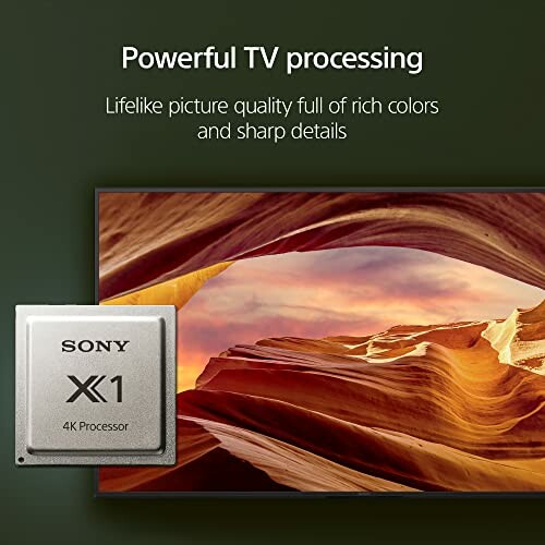 Sony X1 4K Processor with TV displaying vibrant canyon image.